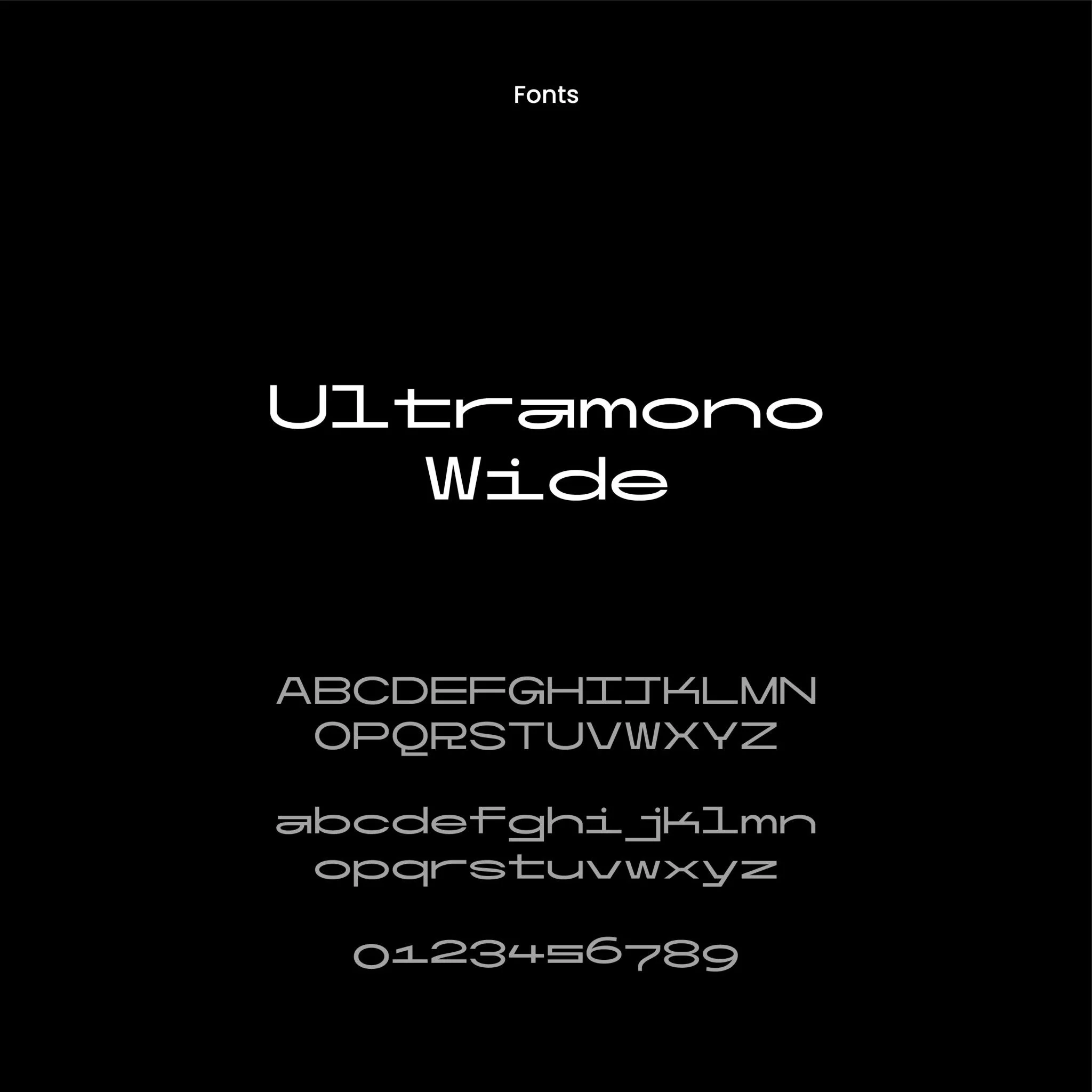 Bitcoin Akademie | Case Study