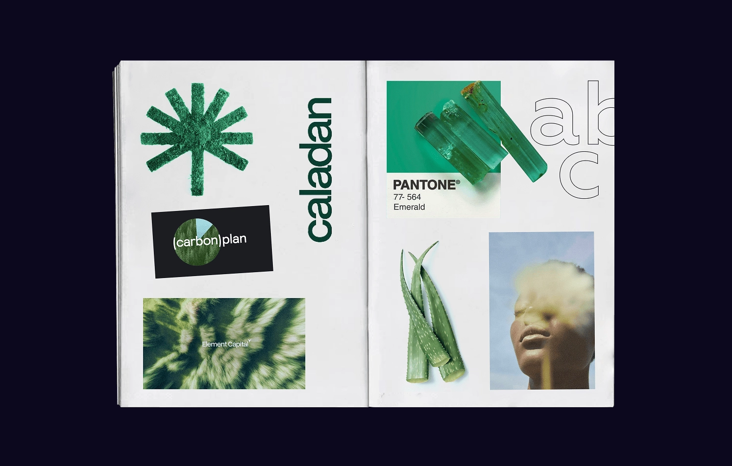 Green-themed branding moodboard with natural elements
