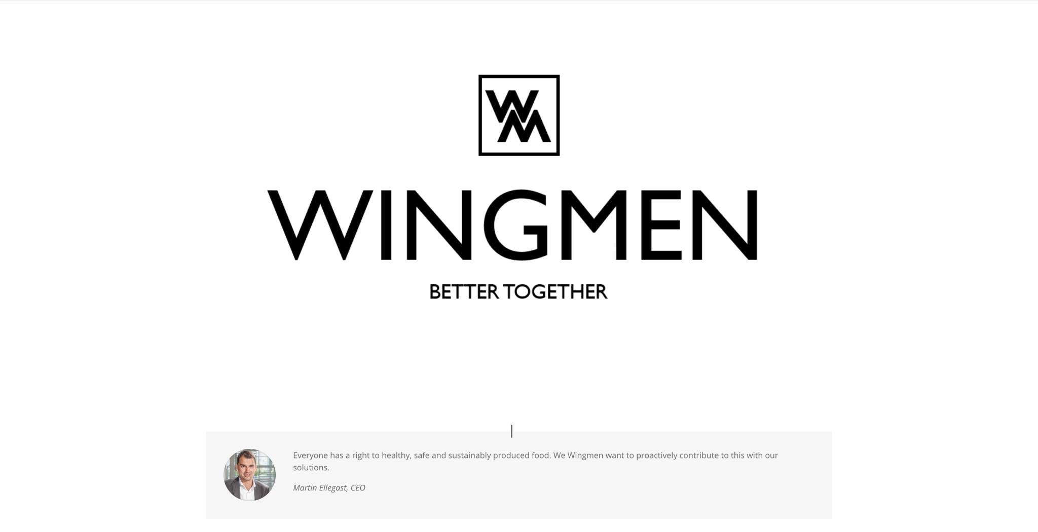 Wingmen logo with “Better Together”