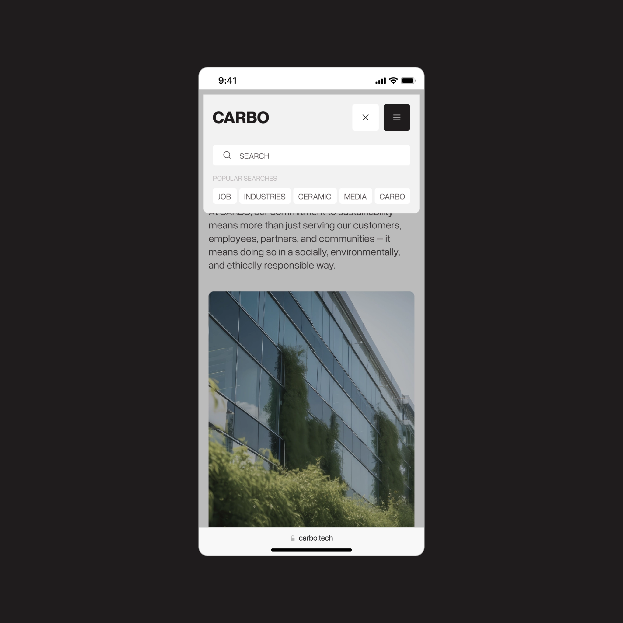 Carbo mobile search view