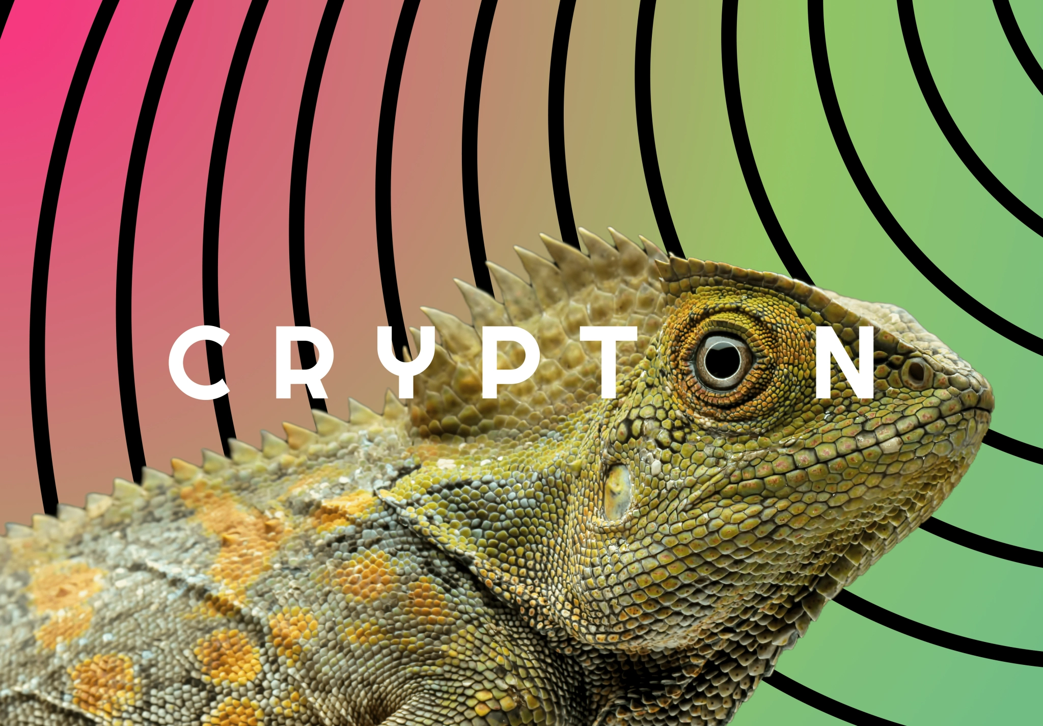 Colorful chameleon with Crypton logo